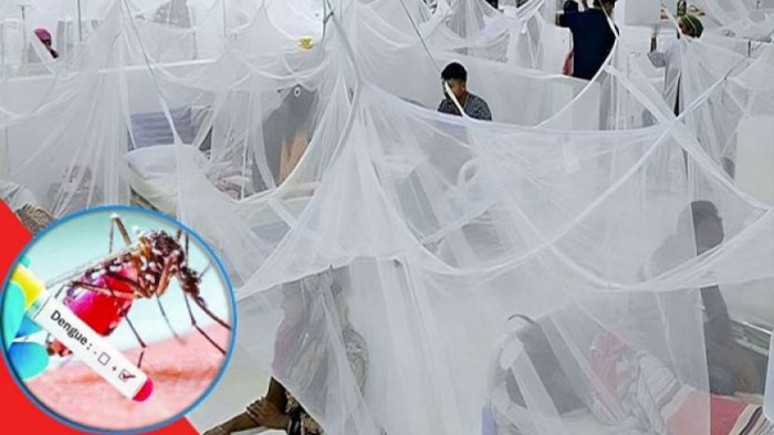 ডেঙ্গুতে প্রাণ গেল আরও ৯ জনে