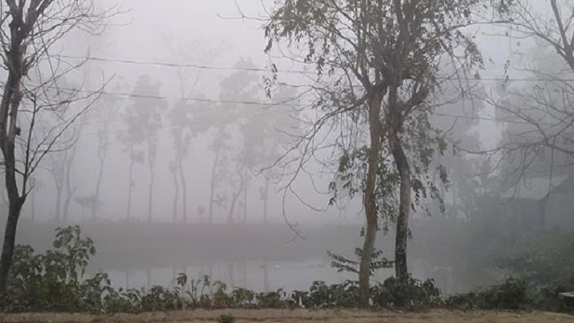 সংগৃহিত