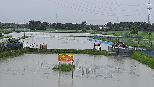 ছবি- সংগৃহিত