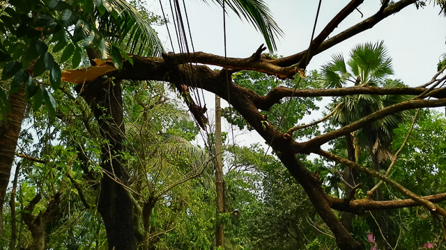 নয় জেলায় বজ্রপাত ও কালবৈশাখী ঝড়ে ১৪ জন নিহত