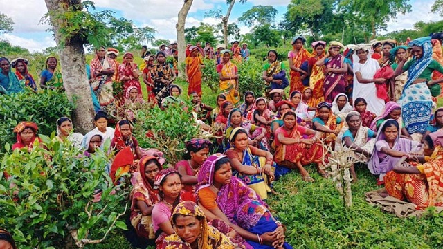 ১২০ টাকা মজুরিতেই কাজে ফিরছেন চা শ্রমিকরা