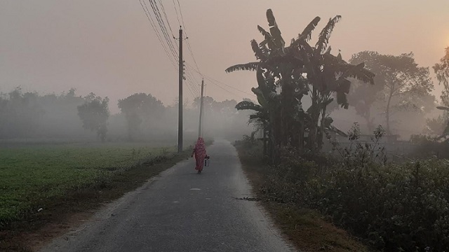 সংগৃহিত