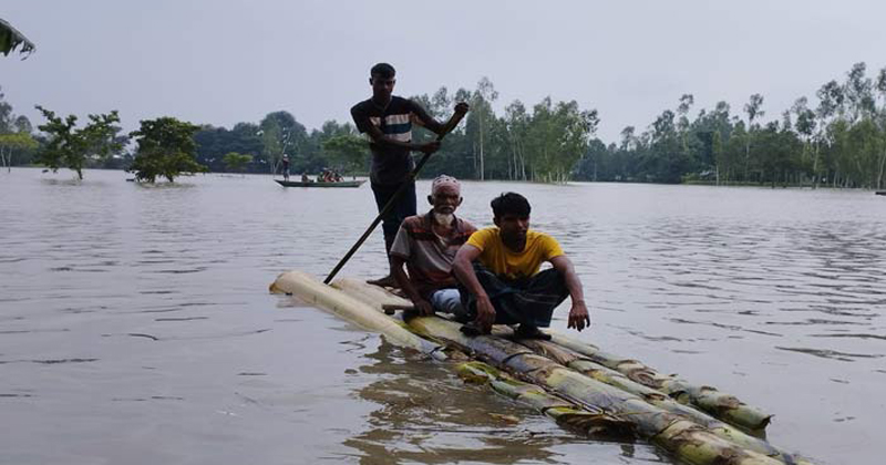 ছবি সংগৃহীত 