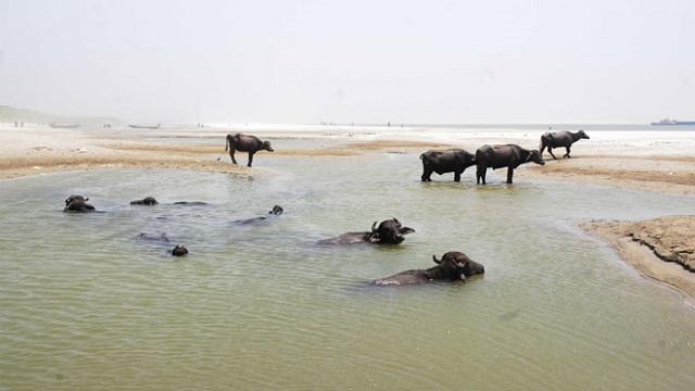 সংগৃহিত