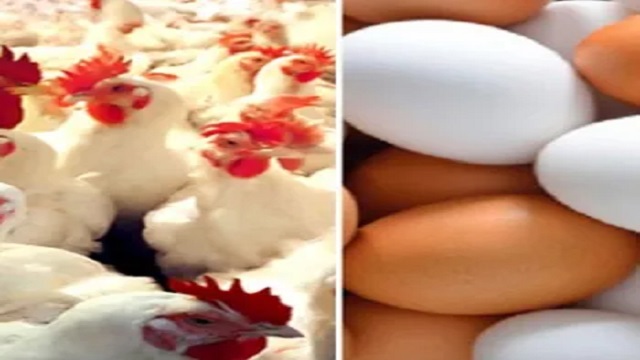 ডিম-মুরগির দাম বাড়িয়ে ৫২০ কোটি টাকা লুট