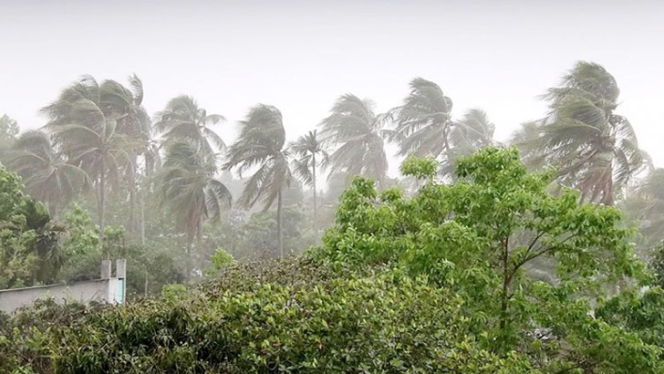 ছবি সংগৃহীত 