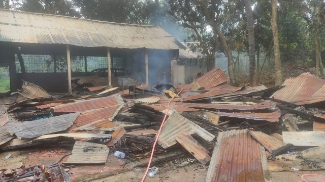 ফাইল ফটো 