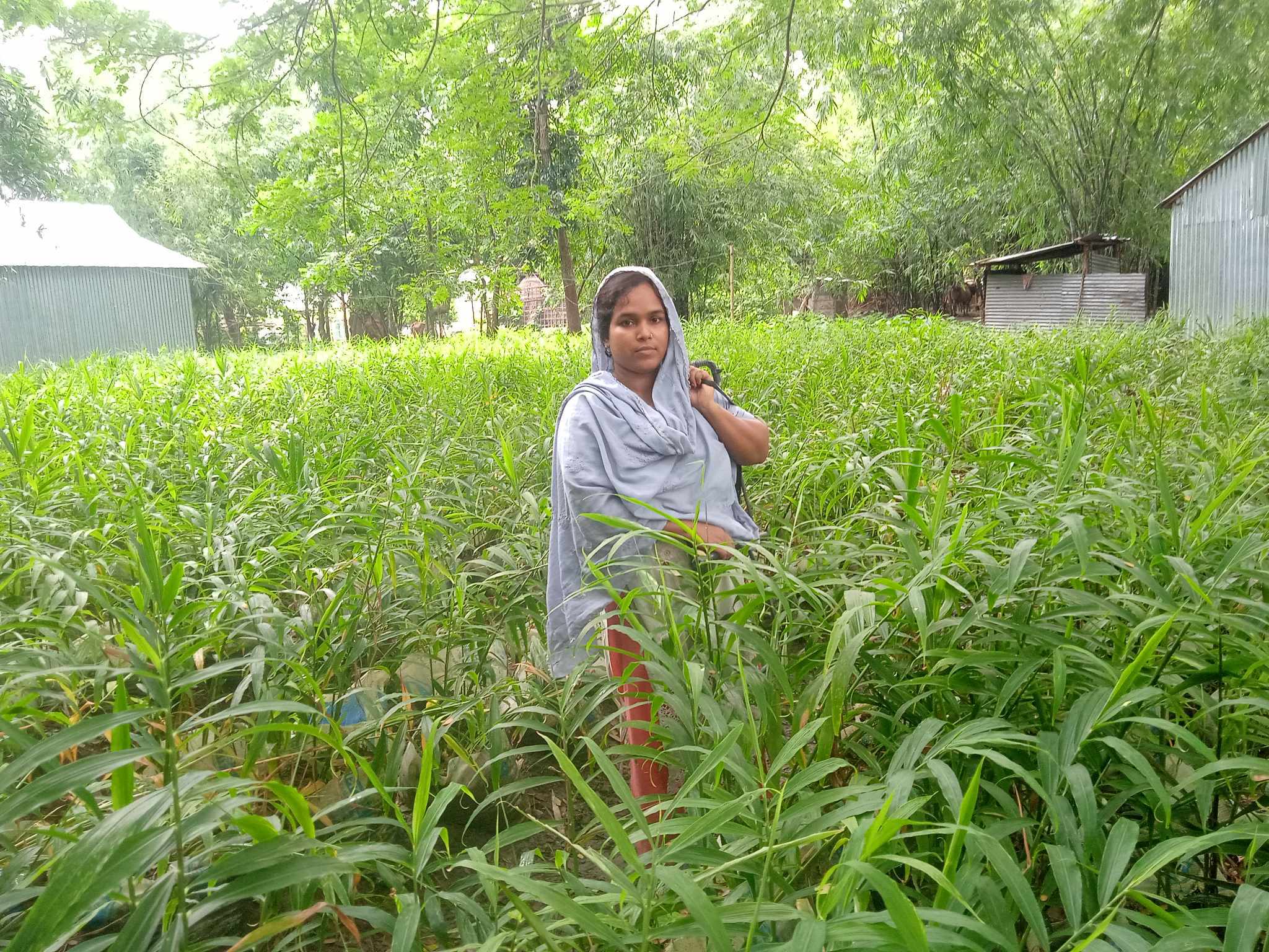 ছবি সংগৃহীত 