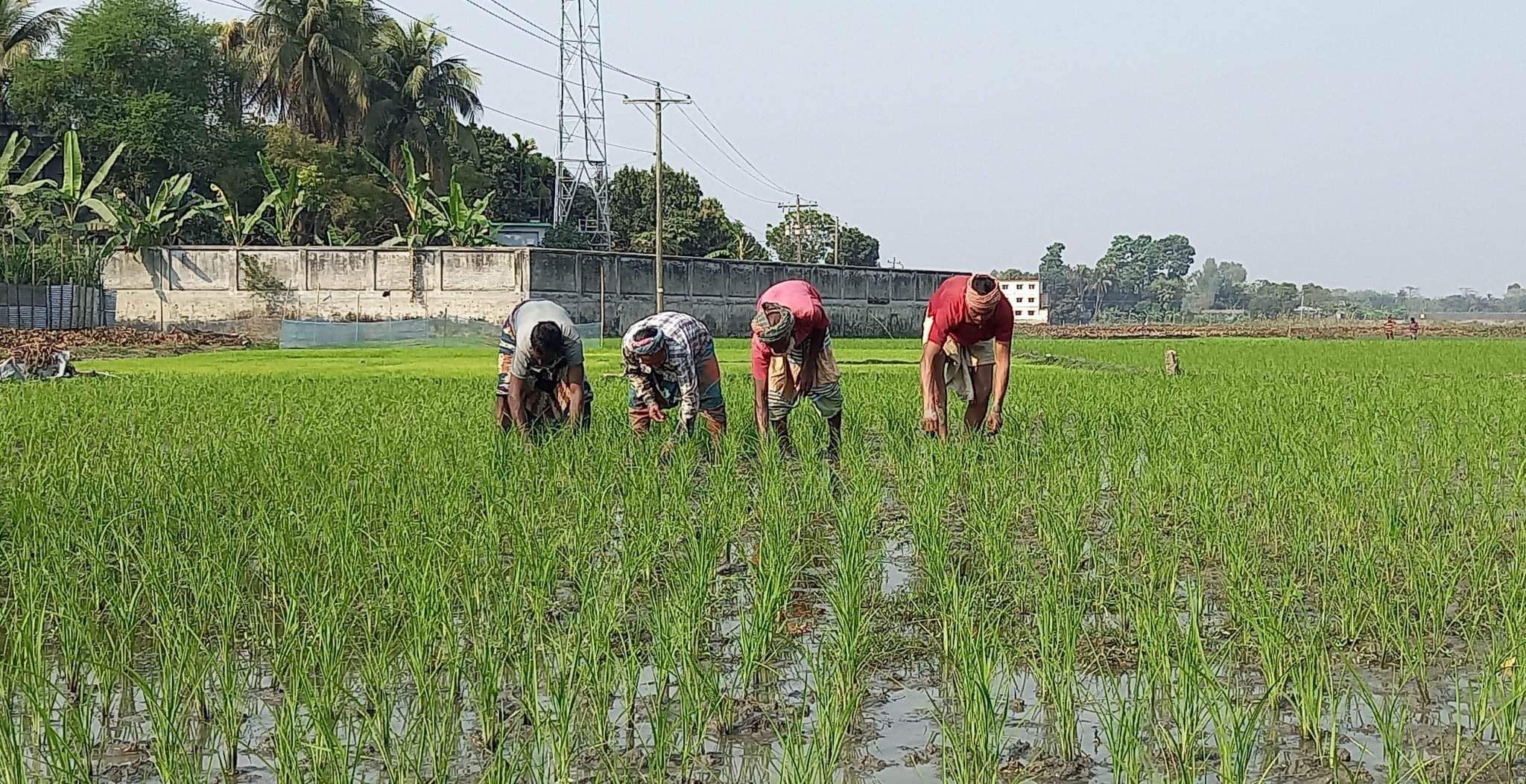 ছবি সংগৃহীত 