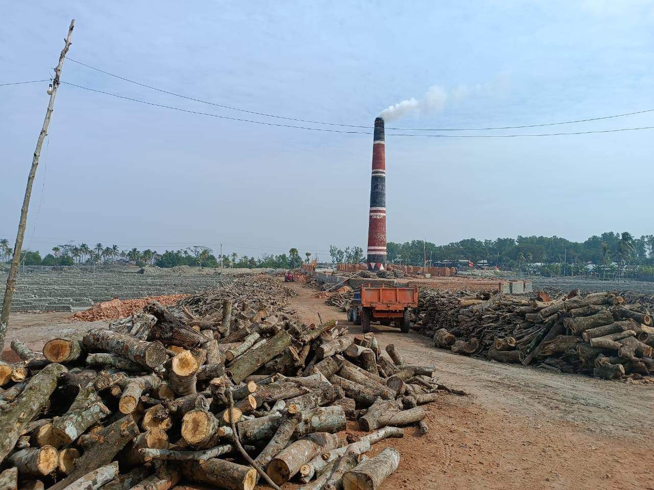 ভাটায় পুড়ছে কাঠ হুমকিতে জনস্বাস্থ্য পরিবেশ ও জীববৈচিত্র্য