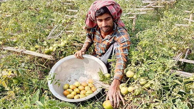 সংগৃহিত